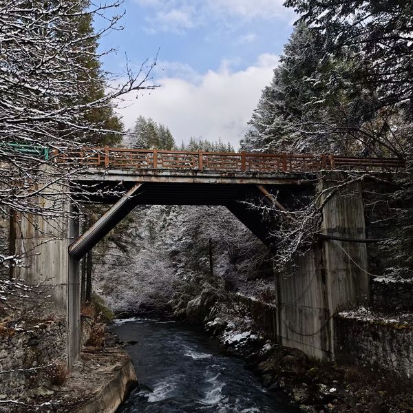 Forest stream and old stone bridge