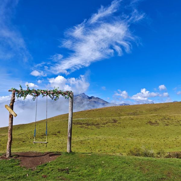 A swing on an alpine meadow, snow peaks behind